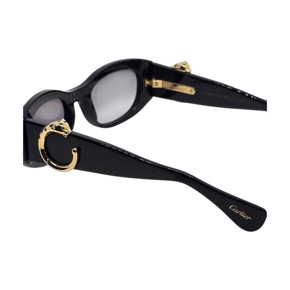 Chic Black Sunglasses with Gold Accents - Picture 5 of 9